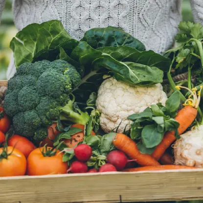 Adult 101: Life Skills for Teen Nutrition