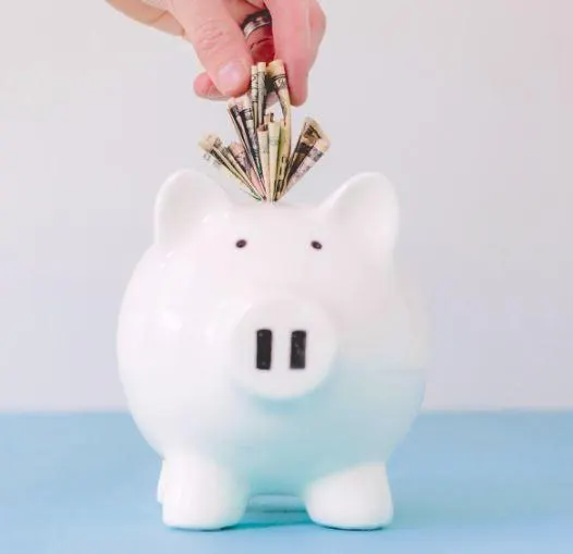 Adult 101: Budgeting