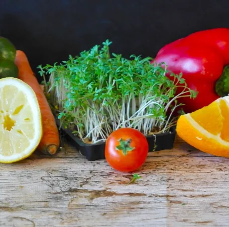 Adult 101: Nutrition
