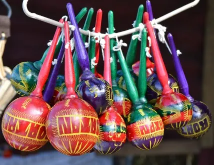 Learn and Make: Maracas