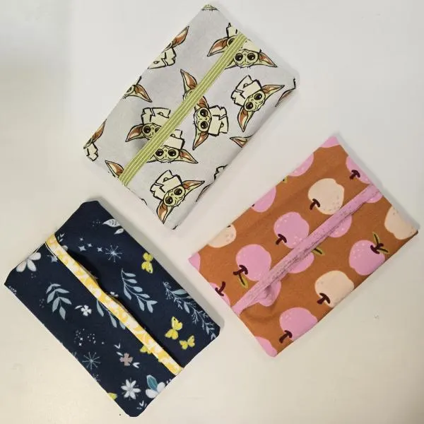 Sewing for Kids 2 Projects: Tissue Holder