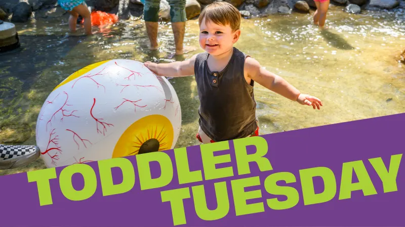 Toddler Tuesday