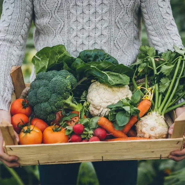 Adult 101: Nutrition