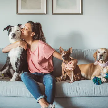 Emergency Preparedness for Pet Owners